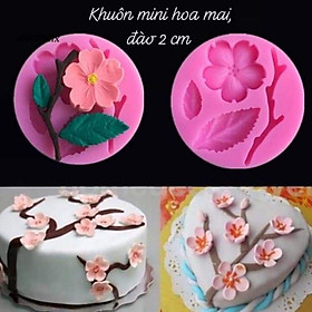 Mua khuôn hoa mai đào