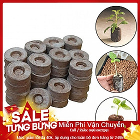 Mua Combo 100 Viên Nén Ươm Hạt Đảm Bảo Cho Hạt Nảy Mầm 99%