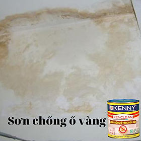 Mua Sơn lót chống ố vàng gốc dầu sử dụng trong nhà và ngoài trời - lon 1L