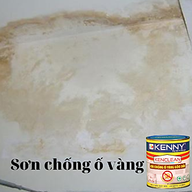 Sơn lót chống ố vàng gốc dầu sử dụng trong nhà và ngoài trời - lon 1L