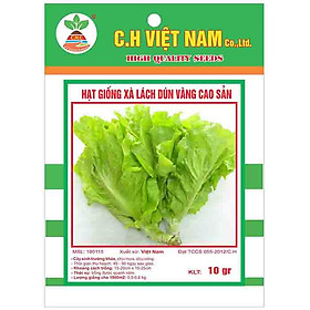 3 Gói Hạt Giống Xà Lách Dún Vàng Cao Sản ( 10gr/ gói)