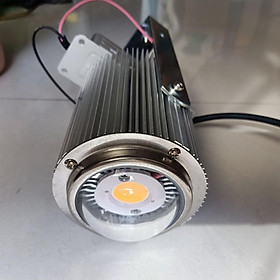 Mua LED PHA 65W – VÀNG