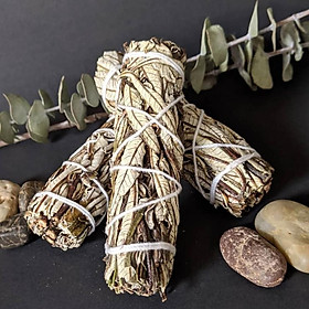 Xô Thơm Thánh Thảo Dược (Yerba Santa) Thiền Định Tâm Linh & Khai Thông Luân Xa l XÔ THƠM THANH TẨY