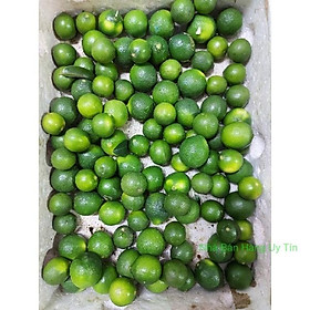 Mua Chanh Tươi Vắt Nước