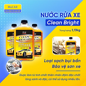 Dung dịch TẨY RỬA VỆ SINH XE ô tô - loại sach bụi bẩn bảo vệ sơn xe cao cấp, thể tích 1L