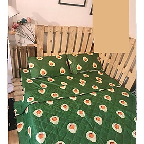 Set 5 món chăn ga gối Cotton Poly hình trái bơ xinh xắn️