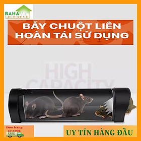 BẪY CHUỘT LIÊN HOÀN TÁI SỬ DỤNG Có thể bắt được nhiều chuột cùng một lúc, an toàn với thú cưng và trẻ em.