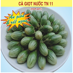 Mua Hạt Giống Cà Giọt Nước  Cà Trứng Rồng Ăn Giòn 1gram