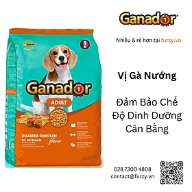 Ganador Thức Ăn Hạt Cho Chó Trưởng Thành Vị Gà Chicken