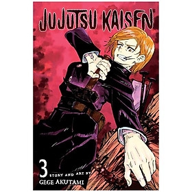 Jujutsu Kaisen 3 (English Edition)