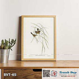 Tranh canvas vintage - Chim sẻ (Cysticola lineocapilla) - BVT-65