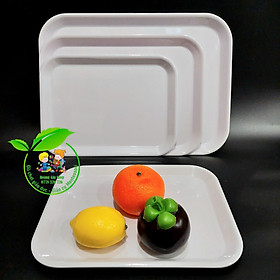 Mua Khay nhựa Montessori 20x27cm