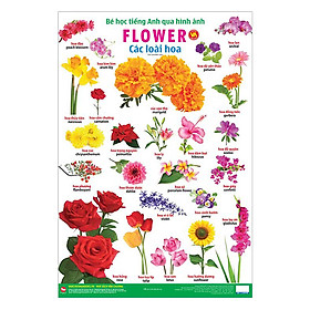 Bé Học Tiếng Anh Qua Hình Ảnh - Các Loài Hoa (Tái Bản)