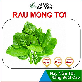 Hạt giống Mồng Tơi thu hoạch sớm, dễ trồng, nảy mầm cao, sinh trưởng khoẻ