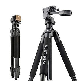 Weifeng WEIFENG WF-6663A magnesium alloy SLR digital camera tripod portable travel photography tripod night fishing light stand