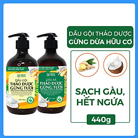 Bộ dầu gội thảo dược gừng dừa Cocayhoala hỗ trợ trị gàu, giảm nấm ngứa, dung tích 440g/chai- 95% thành phần từ gừng tươi hữu cơ còn nguyên xơ gừng, hỗ trợ trị rụng tóc, kích thích mọc tóc vượt trội