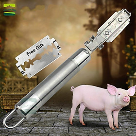 Mua Dao cạo lông heo  lông lợn. Dụng cụ cạo lông heo  lợn cạo sạch lông