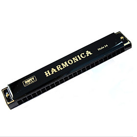 Kèn HARMONICA DMTS loại chuẩn 24 lỗ - Màu ngẫu nhiên