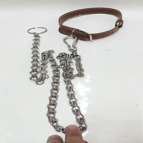 COMBO 1 DÂY XÍCH CHÓ INOX DÀY DÀI +1 CỔ CHO DA.