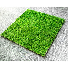 Thảm cỏ nhân tạo cao cấp 2cm kích thước 50cm x 50cm