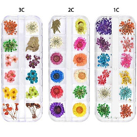 Mua Khay 12 Ngăn Đựng Hoa Khô Nhiều Màu Trang Trí Resin - Trường Thịnh Sài Gòn