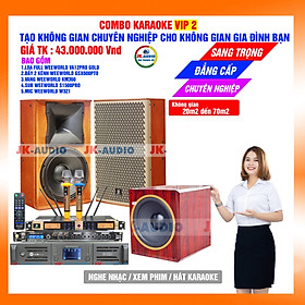 Mua DÀN KARAOKE GIA ĐÌNH LOA WEEWORLD VA12PRO GOLD GIÁ 43 TRIỆU - Hàng chính hãng