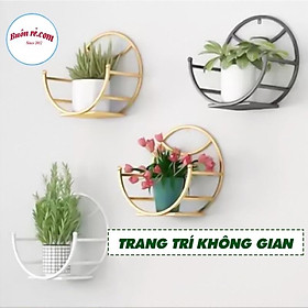 Mua Giá treo cây cảnh dán tường hình tròn xinh xắn - Giá treo chậu hoa ở ban công 01423