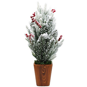 Mua Cây Thông Mini Phủ Tuyết 60 cm - Chaang Chiia LP-M8-HS