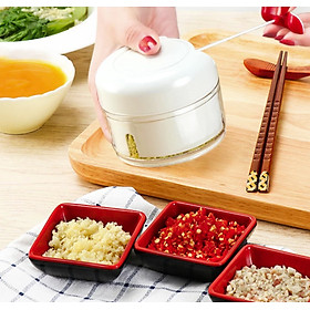 Mua Dụng cụ xay tỏi ớt đa năng bằng tay