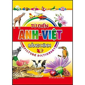 Sách Từ Điển Anh Việt Bằng Hình (Tái Bản)