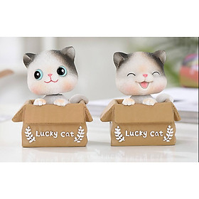 cặp mèo ly,hộp quà lưu niệm