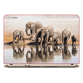 Miếng Dán Decal Laptop Animal DCLTDV 262