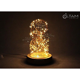 Đèn ngủ nhà kính đèn Led đom đóm chụp thủy tinh trong suốt L-ĐB-04