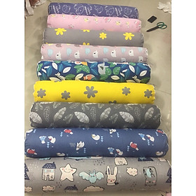 Mua Gối Ôm Cotton Hàn Cao Cấp (Giao màu ngẫu Nhiên)