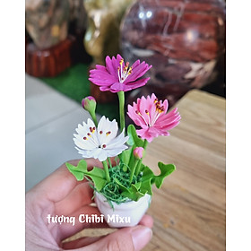 Chậu hoa cúc - hoa sao nhái bằng đất sét Nhật mini cao 10-12cm