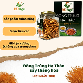 NẤM ĐÔNG TRÙNG HẠ THẢO AN GIA SẤY THĂNG HOA (LOẠI II LỌ 20G)