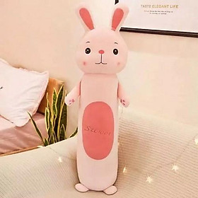 {Free ship- xả kho}Gối ôm hình thú ngộ nghĩnh size 60cm