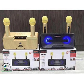 Mua Loa hát karaoke SD-301.kèm 2 mic hát song ca tuyệt vời