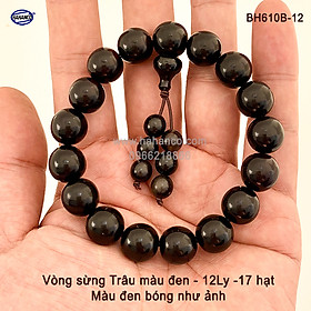 Vòng tay sừng Trâu phong thủy đuôi lục hạt (BH610B) Đây sẽ là thứ mang tài lộc về nhà bạn - Bracelet of HAHANCO