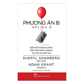 Phương án B - Đối mặt nghịch cảnh, rèn tính kiên cường, và tìm lại niềm vui