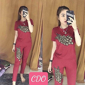 SET ĐỒ BỘ NỮ THUN,CHẤT LIỆU VÃI THOÁNG MÁT VÀ CO GIẢN 4C TRANG NEMO 36 FASHION
