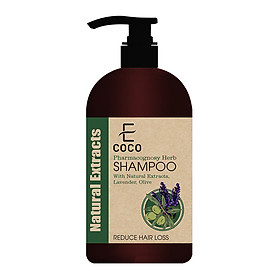 Dầu gội dược liệu sạch hỗ trợ điều trị rụng tóc Ecoco với chiết xuất oải hương, ô liu