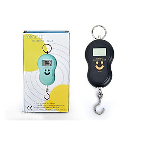 Mua Cân 40KG cầm tay VT