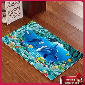 Thảm Lau Chân 3D Thảm Lau Chân 40X60Cm  - Miễn Phí Vận Chuyển