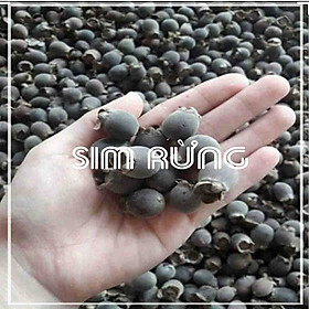Mua Quả Sim Rừng khô 1kg