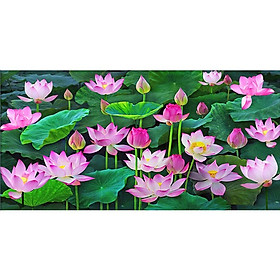 Mua TRANH ĐÍNH ĐÁ PHONG CẢNH ĐẦM HOA SEN Y8290 - 100x65 Y8291 (150X80)