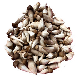 Nấm mối đen tươi đệ tam - Gói 250g