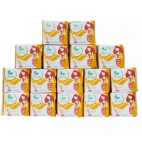 Bộ băng vệ sinh hằng ngày lưới BELLE FLORA 16 gói