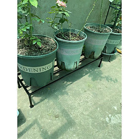 Kệ sắt sân vườn - Đôn kê chậu kiểng - Kệ trưng bonsai