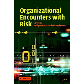 Organizational Encounters with Risk[